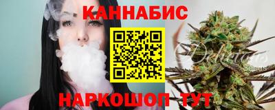 индика Заводоуковск
