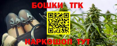 индика Заводоуковск