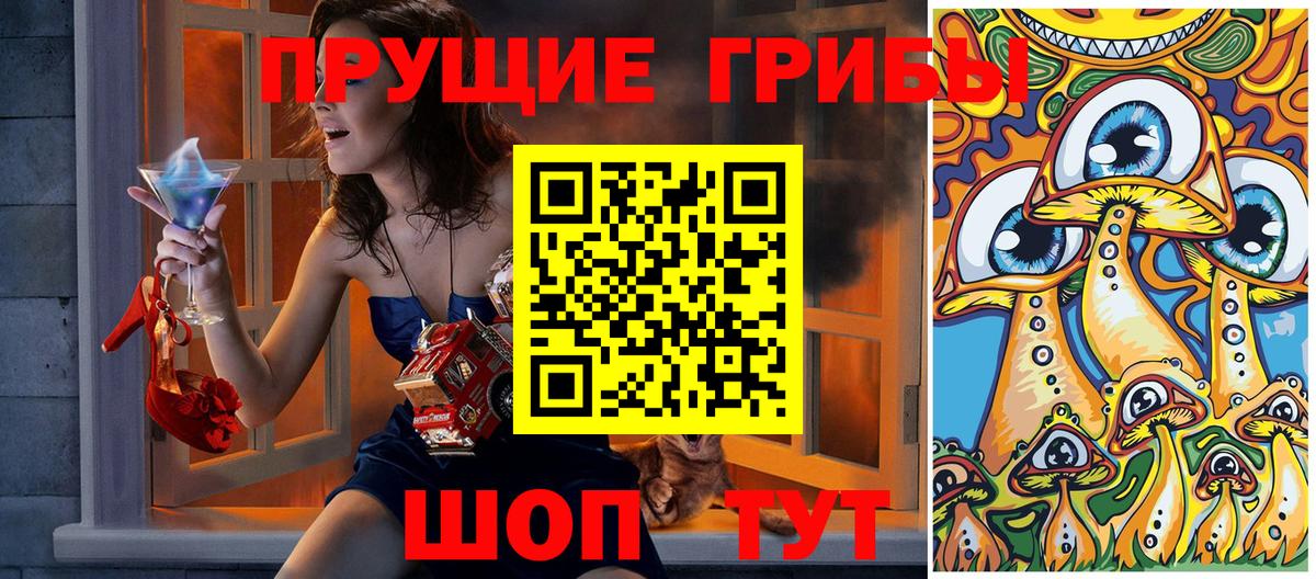 Галлюциногенные грибы Psilocybe Магадан