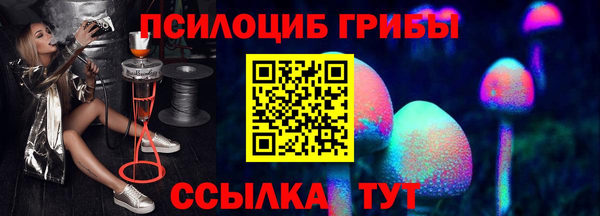 Магадан  Галлюциногенные грибы мицелий  Вход с VPN 